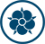 Rose_FlohFlyerblau